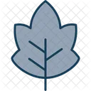 Leaf Plant Nature Icon