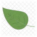 Leaf  Icon