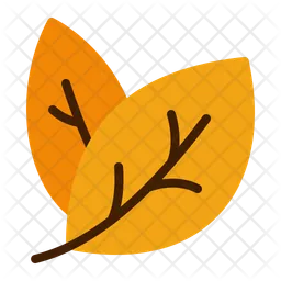 Leaf  Icon