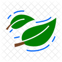 Leaf Nature Plant Icon