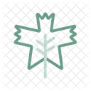 Leaf Maple Nature Icon