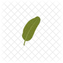 Tropical Leaf Plant Icon