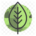 Leaf  Icon