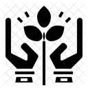 Leaf  Icon