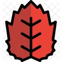 Leaf  Icon