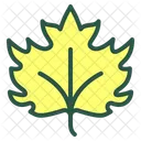 Leaf Floral Plant Icon
