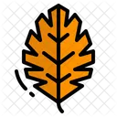 Leaf Autumn Season Icon