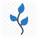 Leaf  Icon