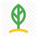 Leaf Sprout Plant Icon