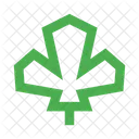 Leaf Maple Icon
