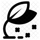 Leaf  Icon