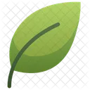Leaf Leaves Nature Icon