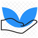 Leaf  Icon