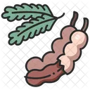 Fruit Vegan Food Icon