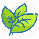 Leaf Ecology Environment Icon