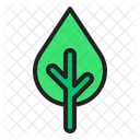 Leaf  Icon