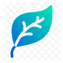 Leaf  Icon