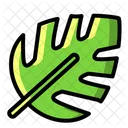 Leaf Nature Plant Icon