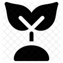 Leaf  Icon