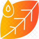 Leaf  Icon