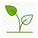 Leaf  Icon