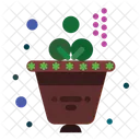 Leaf  Icon