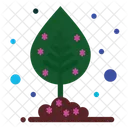 Leaf  Icon