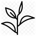 Leaf  Icon