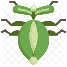 Leaf Insect  Icon