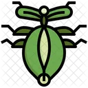 Leaf Insect Ladybug Fly Icon