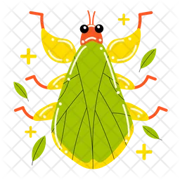 Leaf Insect  Icon