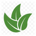 Leaf of leaves-  Icon