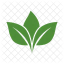 Leaf Of Leaves Icon