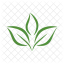 Leaf Of Leaves Icon