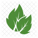 Leaf Of Leaves Icon