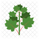 Leaf Of Leaves Icon