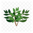 Leaf Of Leaves Icon