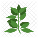 Leaf Of Leaves Icon