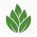 Leaf Of Leaves Icon