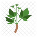 Leaf Of Leaves Icon