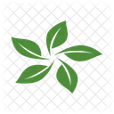 Leaf Of Leaves Icon