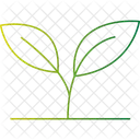 잎식물 녹색잎 잎식물 아이콘