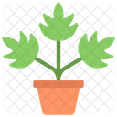 Leaf Plant  Icon