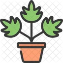 잎 식물  아이콘