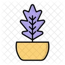 Leaf Plant  Icon