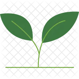 Leaf Plant  Icon