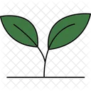 Leaf Plant Green Leaf Foliage Plant Icon