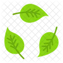 Leaf Recycle  Icon