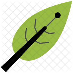 Leaf research  Icon