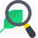 Leaf Search Organic Research Eco Exploration Icon